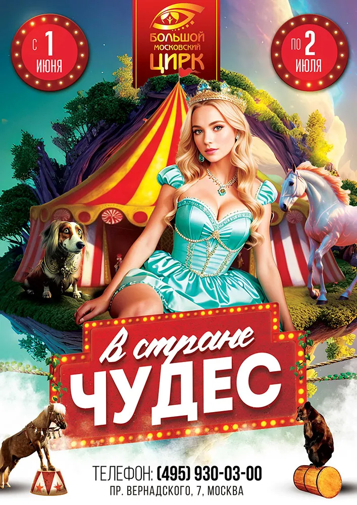 сторис Цирковое шоу «В стране чудес»